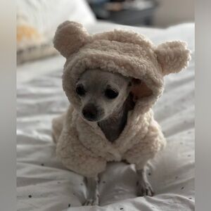 🐕 Ugg Sherpa Onesie 🐕